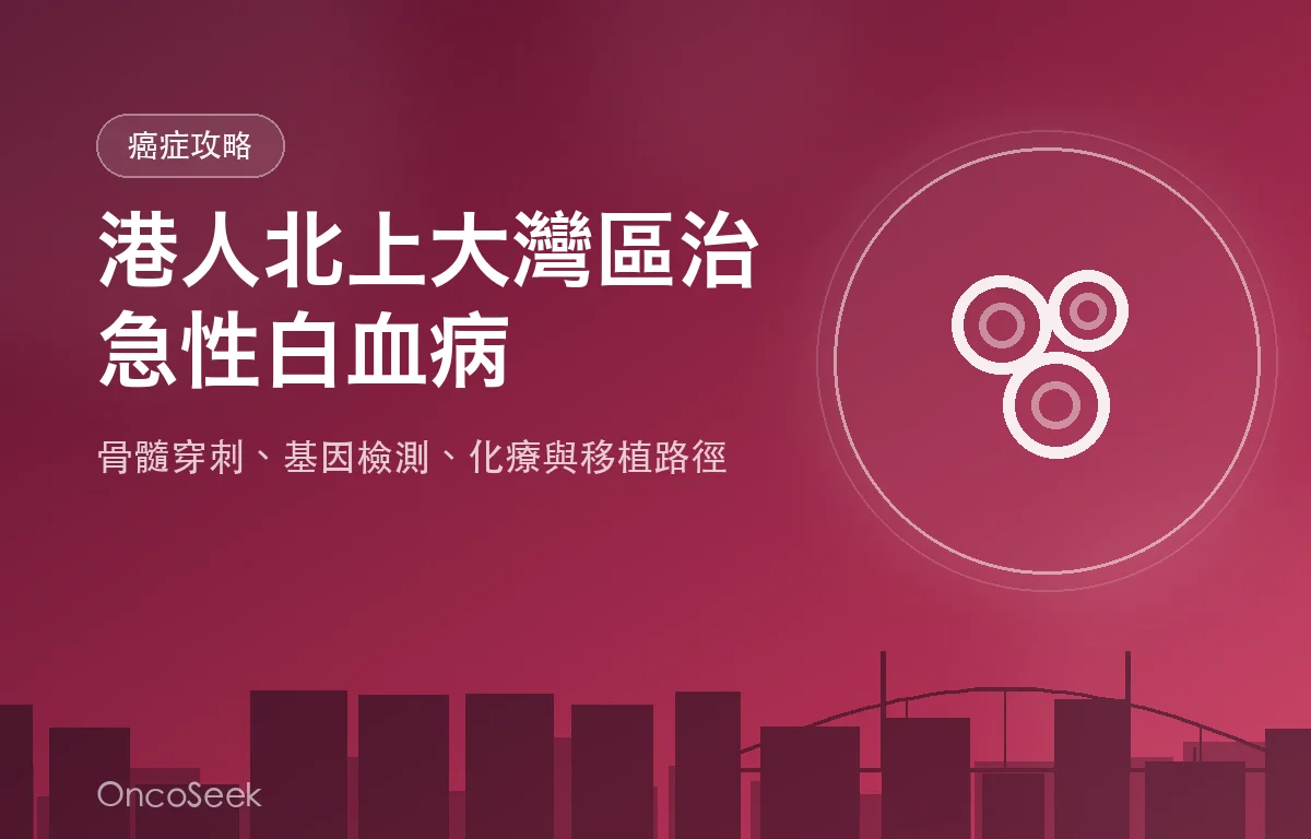 港人北上大灣區接受急性白血病診斷與治療的醫療資訊圖